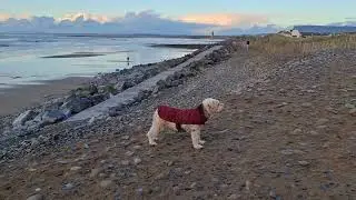 2026-01-09 Ellie's Walk - Main Beach Strandhill