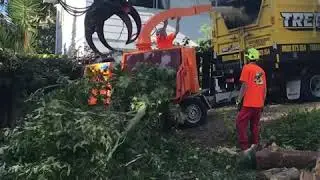Chipping branches in Auckland with Tree King NZ