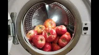 Experiment - Tomatoes - in a Washing Machine - Centrifuge