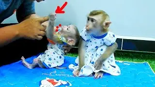Lil Doddy Holdinq Mom's Hand Tight With Scraem To Mom St0p Advicee To Sit Eat Roll Banana With Doni