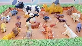 Узнаем скрытые факты о горных и копытных животных для любознательных детей!