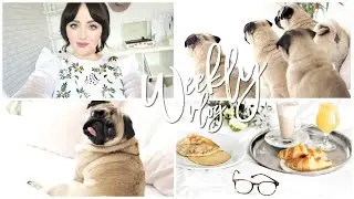 My Week: Liverpool, Crufts & Manchester! | Becca Rose