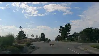 Drive from Seattle Suburb to Anacortes Skyline Marine Center, Washington State [4K/UHD]