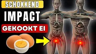 Ik at 2 gekookte eieren per dag en dit is wat er met mijn lichaam gebeurde.