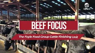 Foyle Food Group's cattle finishing unit and 1,100ac research farm