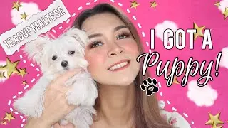OUR NEW PUPPY : TEACUP MALTESE | Karen Bryant | Vlog 38