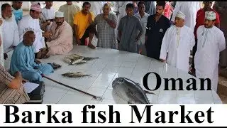 Oman/Barka Fish Market Part 37