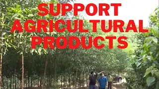 Program to support agricultural products, expand agricultural production areas with high technology