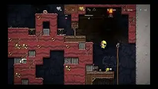 Spelunky 2 - 2nd online co op with randoms
