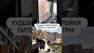 Худшие новостройки Питера. Смотри!