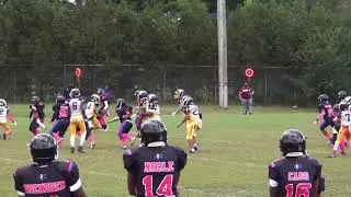 Fred Johnson Jr