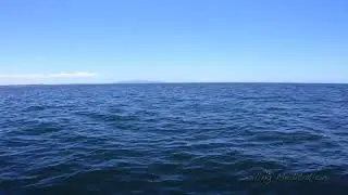 1 Hour Sailing Meditation Video - Santa Monica Bay