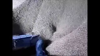 Grain Vac
