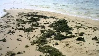 Cape Cod Commission - Wastewater Problem