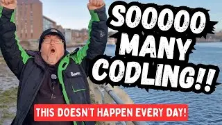 Non‑Stop Codling -  Smith's Dock - River Tyne - North East Sea Fishing
