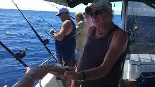 Billy Fish Whisperer - Top Gear Fishing Charters