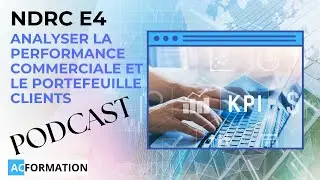 BTS NDRC E4 : Analyser la performance commerciale et le portefeuille clients