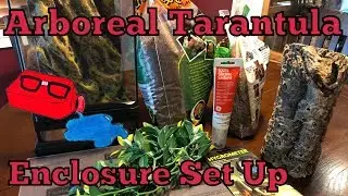 Arboreal Enclosure Set Up A. Avicularia Pink Toed Tarantula