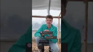 Давайте прекратим эту путаницу!