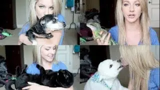 Meet My Pets ♡ 