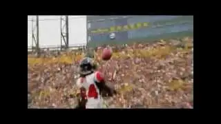 Roddy White Highlights