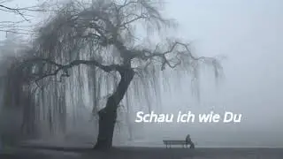 2RAUMWOHNUNG   Ich bin der Regen