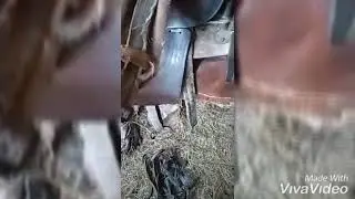 Море из снега , не видно конца.  Всё время по стремя , врезаясь в сугроб.