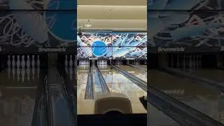 PBA Michael Hogan