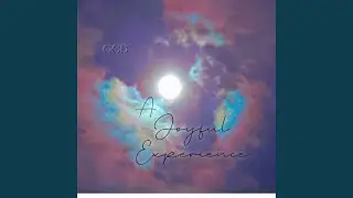 A Joyful Experience