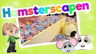 🐹💚 Hamsterscaping met Carefresh Confetti