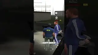 Задержал сотрудника ДПС на Amazing Online?
