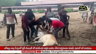 Vishwa Hindu Parishad and Bajrang Dal leaders buried a person who died of food poisoning