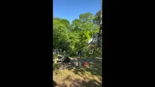 Fallen Tree Removal After Storm | South Fulton GA