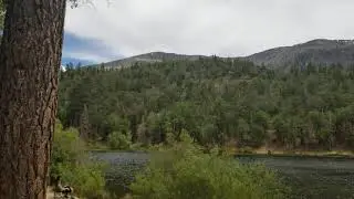 Visit to Lake Jenks CA | Nature Viewing
