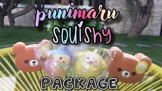 Punimaru squishy package!with Brenda