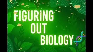 Best Channel For Biology Neet/Board Exam