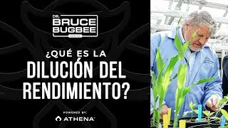 Bruce Bugbee Series (ES) -  &iquest;Qu&eacute; es la diluci&oacute;n del rendimiento?