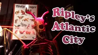 Ripley's of Atlantic City.  The Jersey Devil is Real!