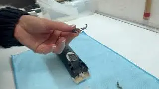 How to Replace a Hinge Spring on Masterclip A5 Clippers | Dog & Horse Clipper Repair Tutorial