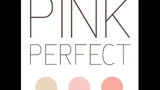 Pink Perfect Prosthetic Nipples