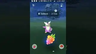 Catch the shiny Fashion Delibird in Pok&eacute;mon Go Holidays!