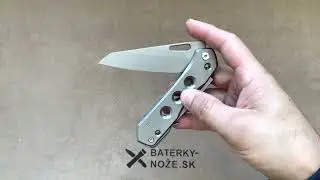 WE Knife Vision R Gray Titanium  WE21031-1