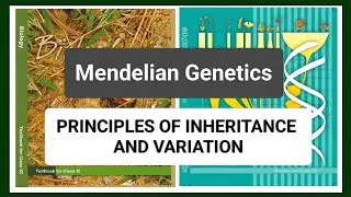 Genetics Part-02 | Inheritance Of One Gene | Monohybrid Cross, Test Cross & Back Cross