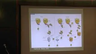 26.03.13 | Гужова И.В.| Шаперон Hsp70 внутри клетки: регуляция протеостаза