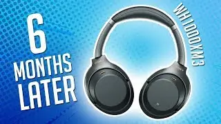 Sony WH-1000XM3 6 Months Later | An Honest Review