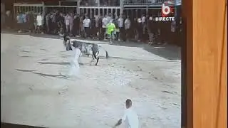 Salida del primer toro cerril de torrestrella en burriana im&aacute;genes burriana tv el d&iacute;a 30/08/2025
