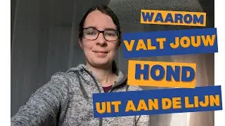Waarom valt mijn hond uit aan de lijn