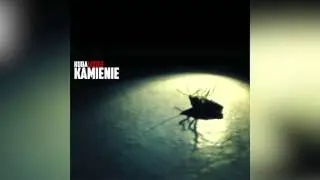 Kuba Leciej -- Kamienie