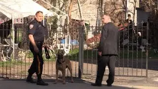 Passaic NJ Police & Passaic Co Sheriffs Dept. K9 Unit operating at a perp search