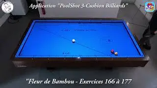 Syst&egrave;me Fleur de Bambou - PoolShot 3-Cushion Billiards